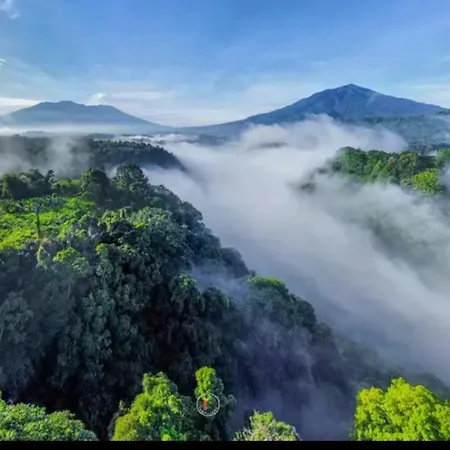 Wong Deso Camping